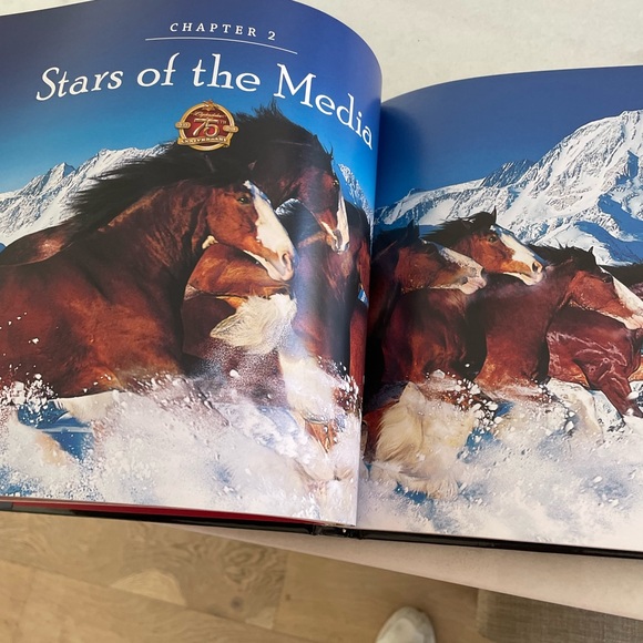 Budweiser Coffee Table Book - The Great American Tradition - Picture 13 of 15